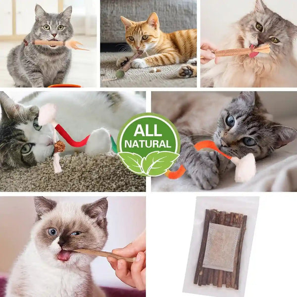 Kyouki Cat Toys Cat Chew Toys, Silvervine Sticks Catnip Rope Toys for Cats Teeth Cleaning, Kitten Dental Care, Kitty for Indoor Cats Increase Appetite,Enhances Oral & Dental Health (21 Pack)3