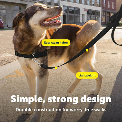 Petsafe Nylon Dog Leash - Strong, Durable, Traditional Style Leash with Easy to Use Bolt Snap - 3/8 In. X 6 Ft., Black | Durable Nylon Leash with Easy On/Off Bolt Snap Hook, Pairs Perfectly with Easy Walk Harness and Gentle Leader Headcollar4