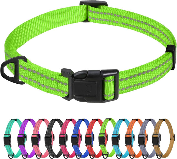 Tagme Small Dog Collar, Reflective Puppy Collar, Sky Blue, 3/8" Width | Lightweight, Nylon Collar for Puppies, Chihuahua, Yorkie & Teacup Dogs 5-15 Lbs, Reflective for Evening Walks, 12 Colors47