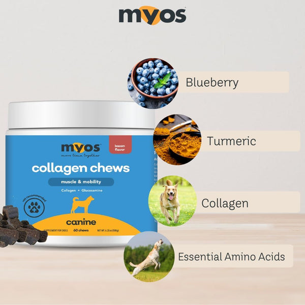 MYOS Canine Muscle & Mobility Chews – Collagen & Glucosamine for Dogs - Bacon Flavor Joint Supplement for Muscle, Bone & Joint Support, 60 Count5
