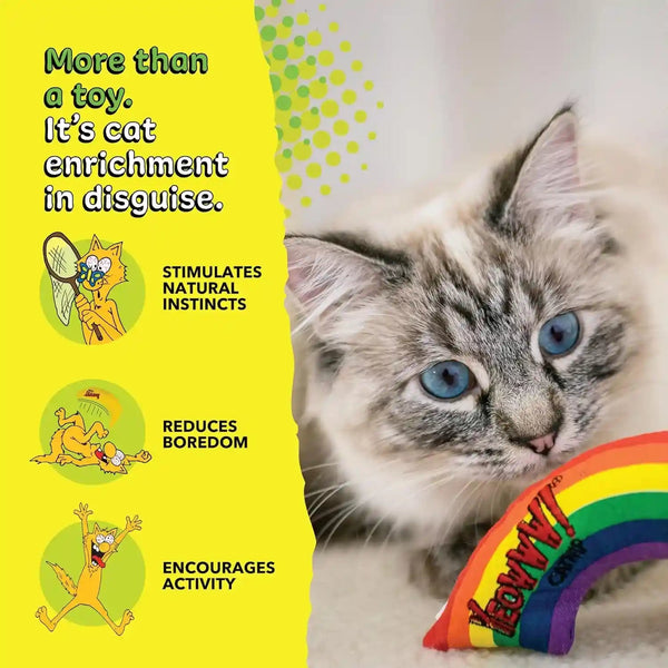 Yeowww! Catnip Rainbow Toy for Cats - Colorful Arch Shape - Durable Cotton Twill - Made in the USA - Stuffed with Organically Grown Catnip8