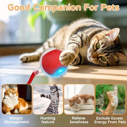 Goosheep 2PK Automatic Rolling Interactive Cat Toys Ball for Indoor Cat Dog | Red&Grey, 3 Modes, LED Light, 360° Smart Automatic Rolling, Suitable for Multi-Cat Families, for Indoor Cats and Small Dogs5