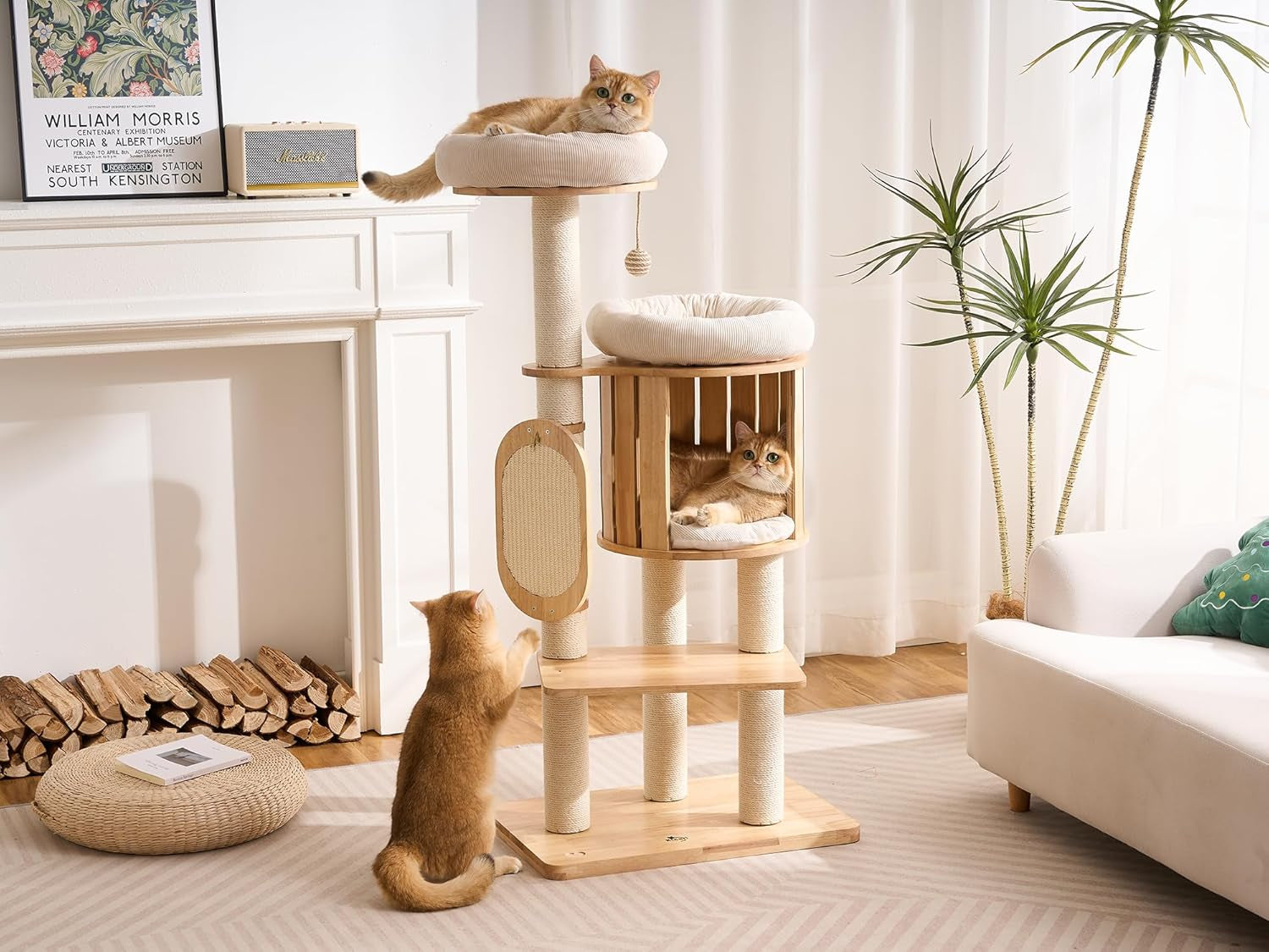 50-modern-cat-tree-for-indoor-cats-small-to-medium-solid-wood-cat-tower-with-sisal-scratching-posts-cat-scratcher-cardboard-cozy-cat-beds-hidden-cat-condo-multi-level-cat-furniture