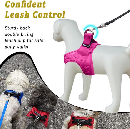 Comfort Fit Step-In Dog & Puppy Harness - Comfortable All Weather Dog Vest Harness: Adjustable, Soft Padded, Easy to Put-On for Small, Medium-Sized Dogs (Plush Both Side Velvet)4