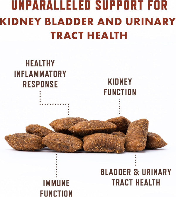 Rocco & Roxie Cat Urinary Tract Health Chews, Cranberry & D-Mannose | Bladder, UT & Kidney Support; Cranberry + D-Mannose; Chicken-Flavor Crunchy Chews; Vet-Recommended; Made in USA3