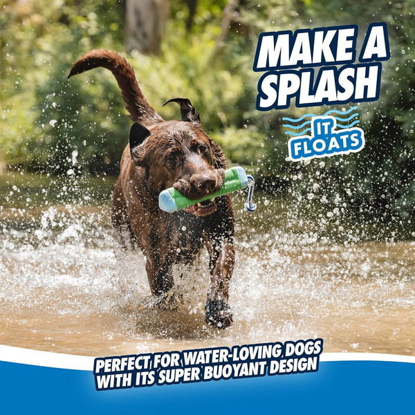 Chuckit! Amphibious Bumper Fetch Stick Toy for Dogs - Floats in Water - Interactive Dog Toys to Keep Them Busy - Tough Rubber, Nylon, and Foam - Non-Slip Rope Handle - Size Medium - Assorted Colors8