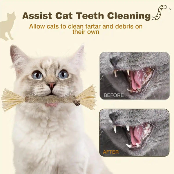 4 Pack Silvervine Sticks for Cats - Cat Chew Toy for Teeth Cleaning, Edible Matatabi Kitty Chew Sticks, Catnip Cat Toys for Indoor Cats (4 Sticks)5