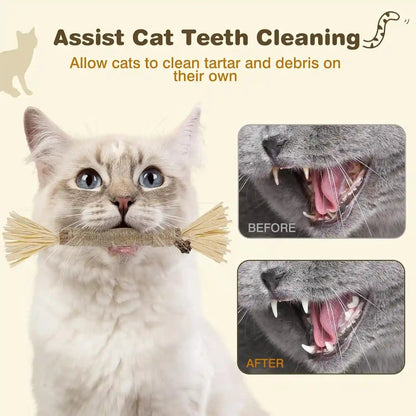 4 Pack Silvervine Sticks for Cats - Cat Chew Toy for Teeth Cleaning, Edible Matatabi Kitty Chew Sticks, Catnip Cat Toys for Indoor Cats (4 Sticks)5