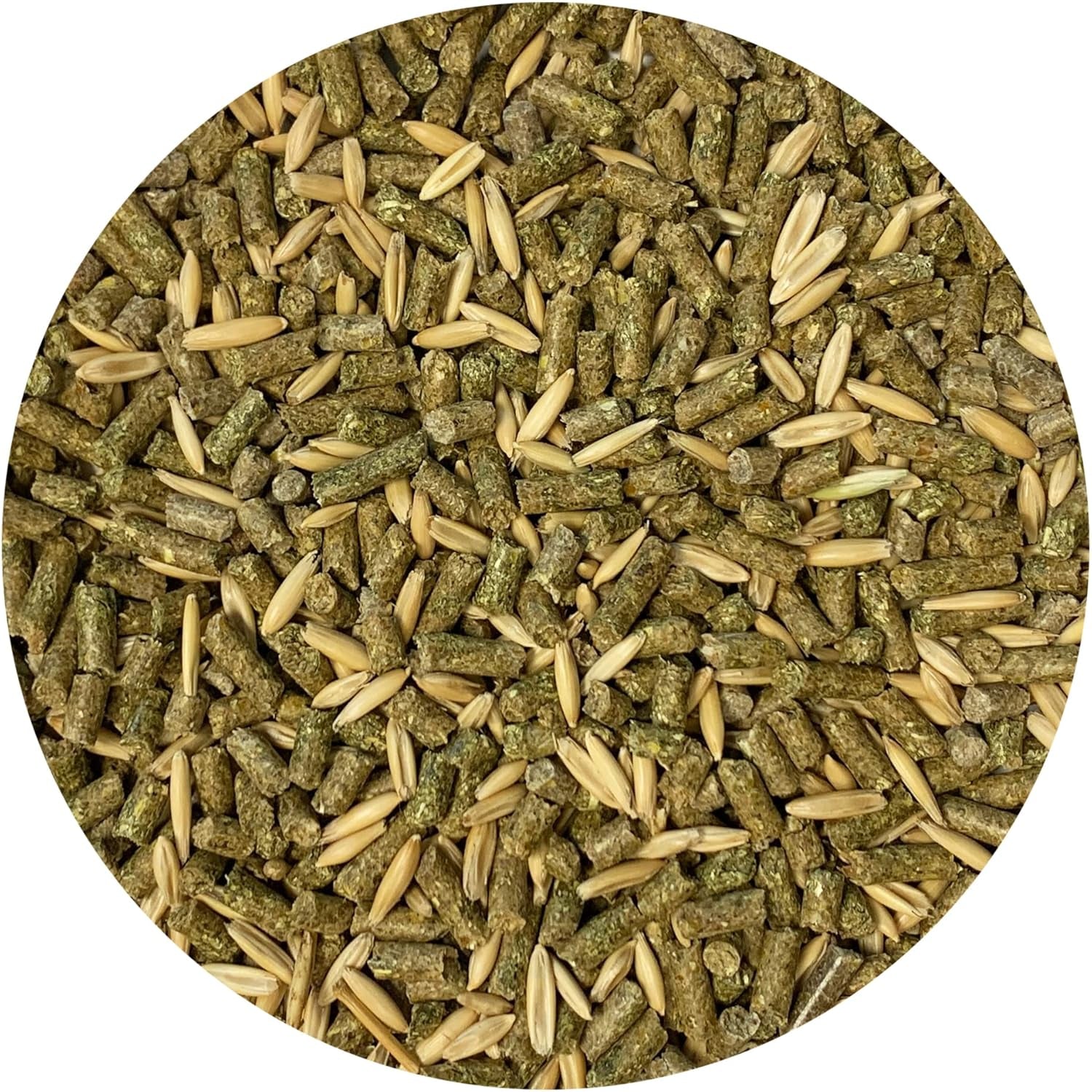 exotic-nutrition-degu-diet-2-5lb-nutritionally-complete-healthy-pellet-diet-with-whole-oats-for-domesticated-pet-degus