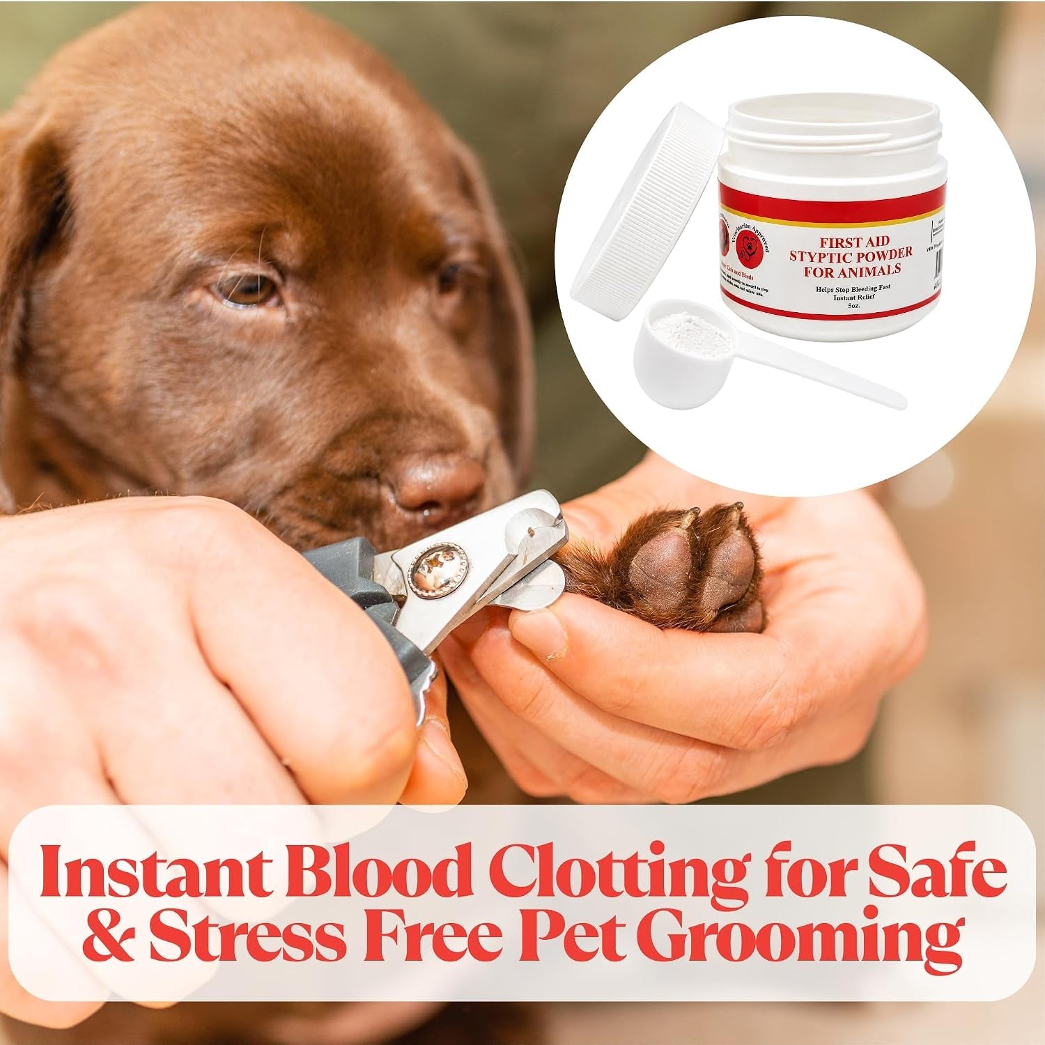 5-oz-styptic-powder-for-dogs-cats-birds-stops-bleeding-quick-blood-clotting-for-nail-clipping-minor-cuts-tail-docking-wing-clipping-pet-first-aid-hemostatic-powder-with-sealed-top-scoop-stops-bleeding-quick-blood-clotting-for-nail-clipping-minor-animal-cuts-wound-care-pet-first-aid-hemostatic