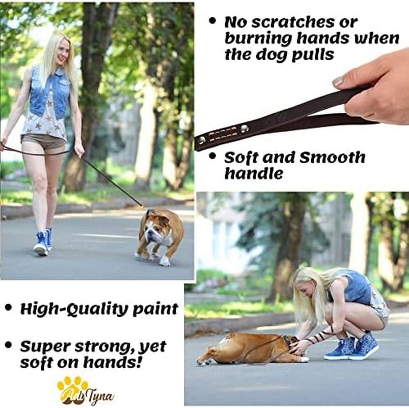 adityna-leather-dog-leash-for-small-medium-dogs-6ft-x-5-8-soft-yet-strong-leather-leash-for-walking-training-hiking-great-for-shih-tzu-poodle-french-bulldog-corgi