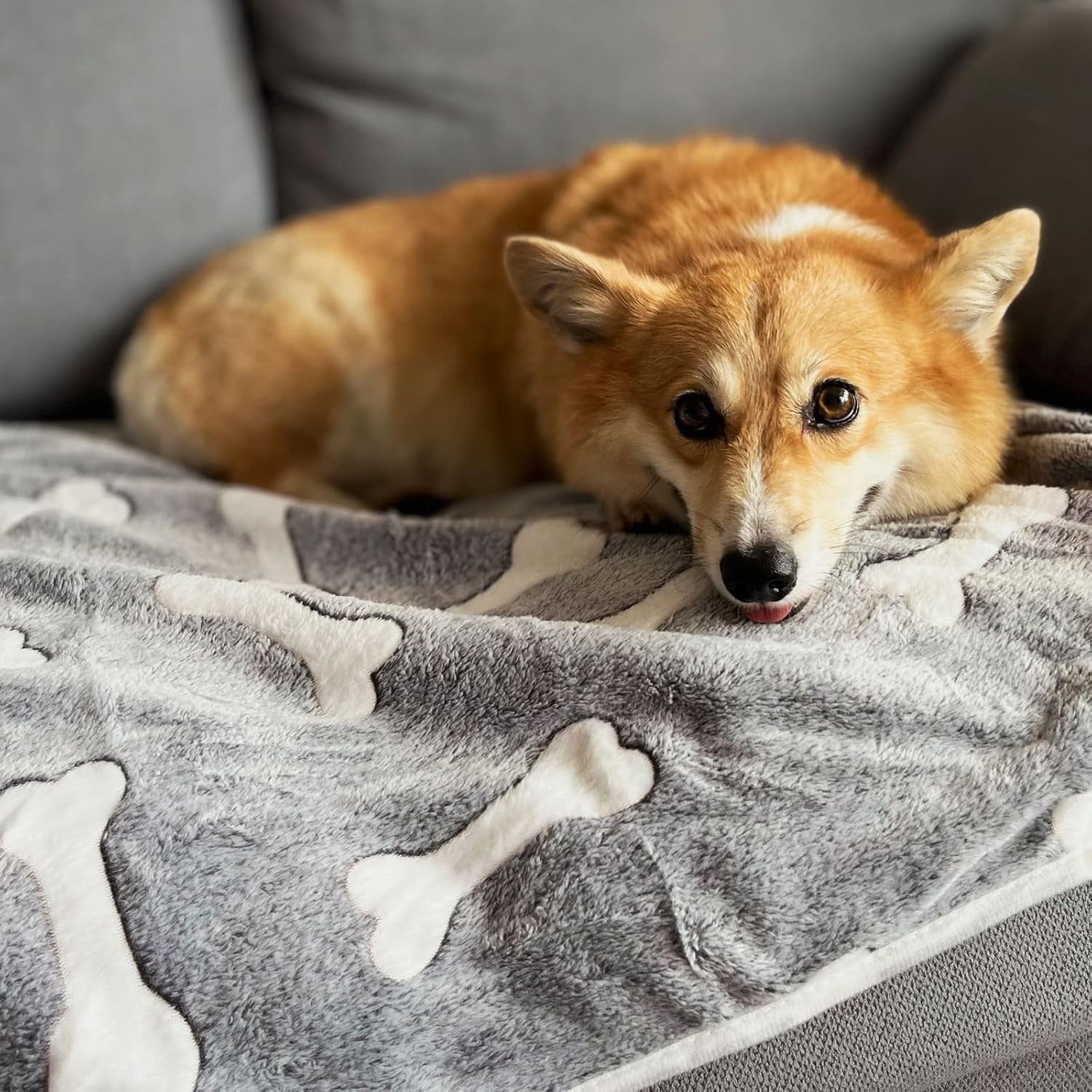 1-pack-3-puppy-blankets-super-soft-warm-sleep-mat-grey-cute-print-blanket-fluffy-fleece-pet-blanket-flannel-throw-dog-blankets-for-small-dogs-puppy-dogs-fluffy-cats-bone-small23x15