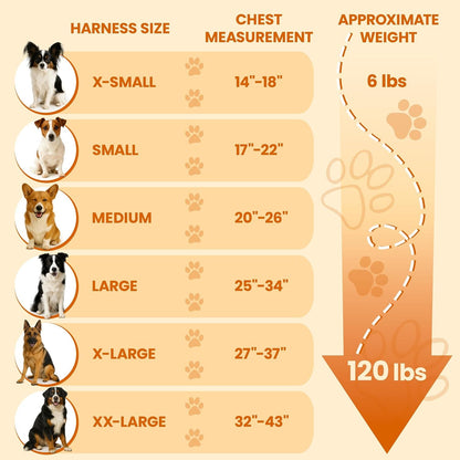Bark Appeal Tan Plaid No-Pull Dog Harness for Extra Small to Small Sized Pets – Adjustable, Reflective Vest with 3 Leash Clips for Added Control, Easy Walks & Training – Small5