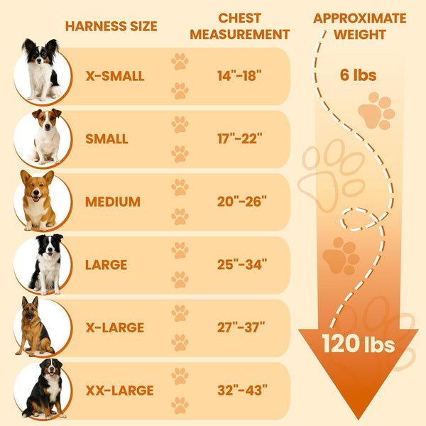 Bark Appeal Tan Plaid No-Pull Dog Harness for Extra Small to Small Sized Pets – Adjustable, Reflective Vest with 3 Leash Clips for Added Control, Easy Walks & Training – Small5