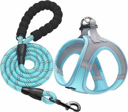 Haapaw Dog Harness with Leash Set, No Pull Adjustable Reflective Step-In Puppy Harness with Thickened Padded Vest for Extra-Small/Small Medium Dogs10