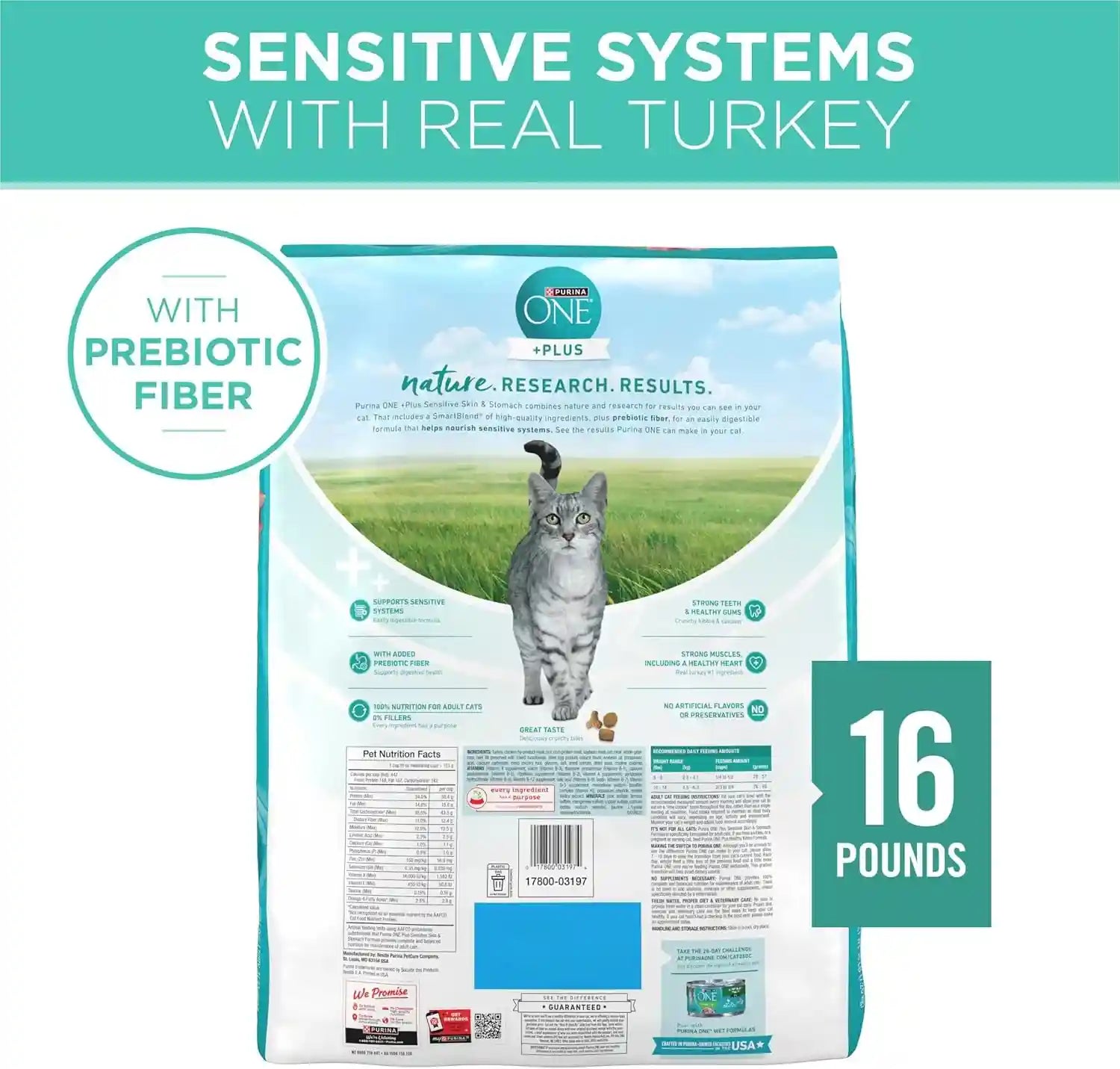 purina-one-sensitive-stomach-sensitive-skin-natural-dry-cat-food-plus-sensitive-skin-and-stomach-formula-16-lb-bag