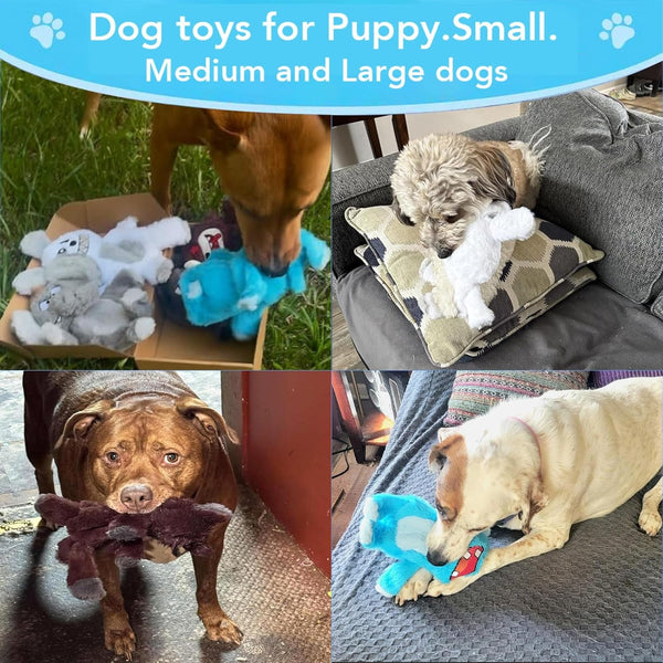 Bzonsmart Dog Squeaky Toys Plush Chew Toys for Small Medium Large Dogs | Double Sound |Non-Toxic Soft Plush |Double-Layer Reinforced Sewing| Suitable for Interactive.Playing, Chewing &Teething4