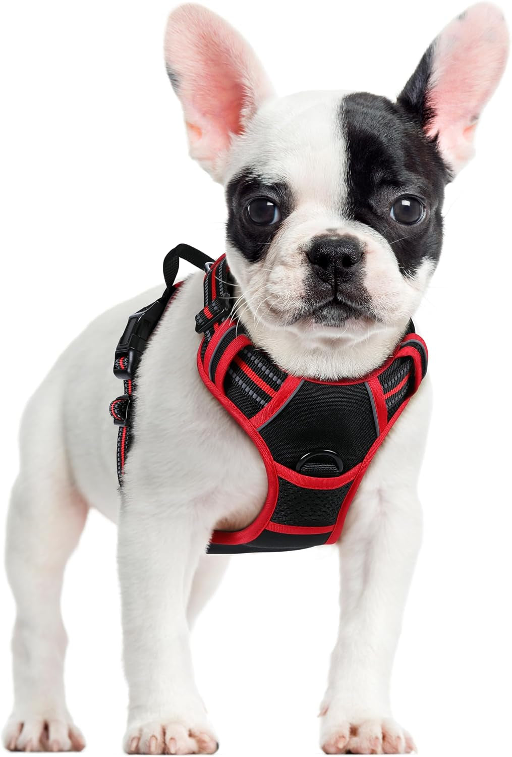 rabbitgoo-dog-harness-no-pull-for-large-dogs-with-2-leash-clips-pet-vest-no-choke-with-handle-adjustable-soft-padded-reflective-easy-control-for-walking-black-large