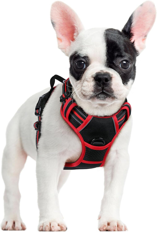 Rabbitgoo Dog Harness, No Pull for Large Dogs with 2 Leash Clips, Pet Vest | No Choke with Handle, Adjustable Soft Padded, Reflective, Easy Control for Walking, Black, Large106