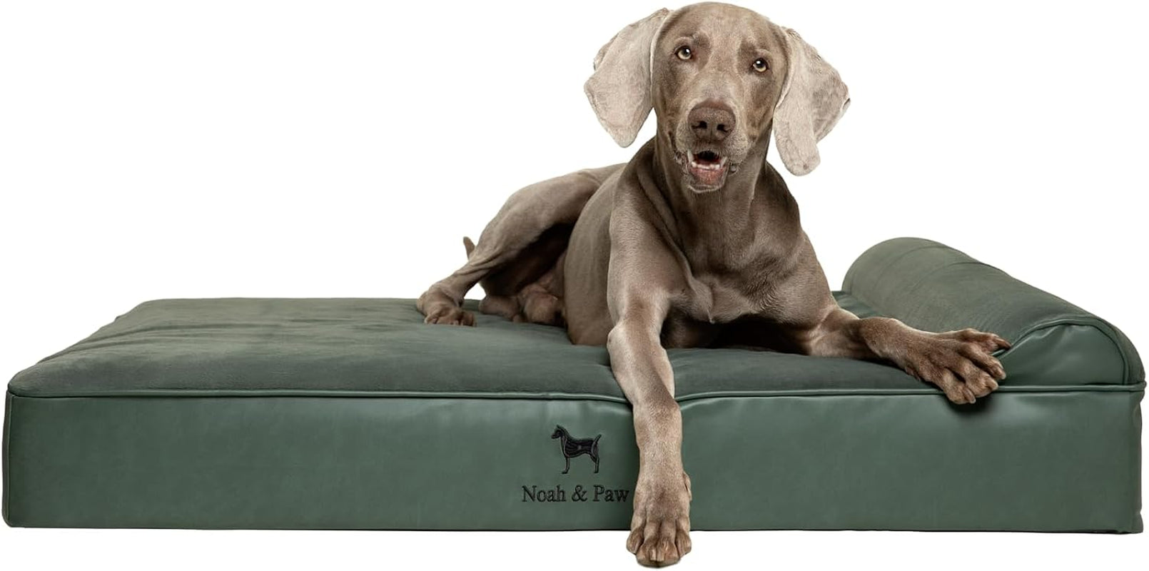 noah-paw-large-dog-bed-35x25x8-7-inch-orthopedic-dog-beds-eggshell-memory-foam-infused-with-cooling-gel-water-resistant-machine-washable-includes-inner-cover-velvet-collection