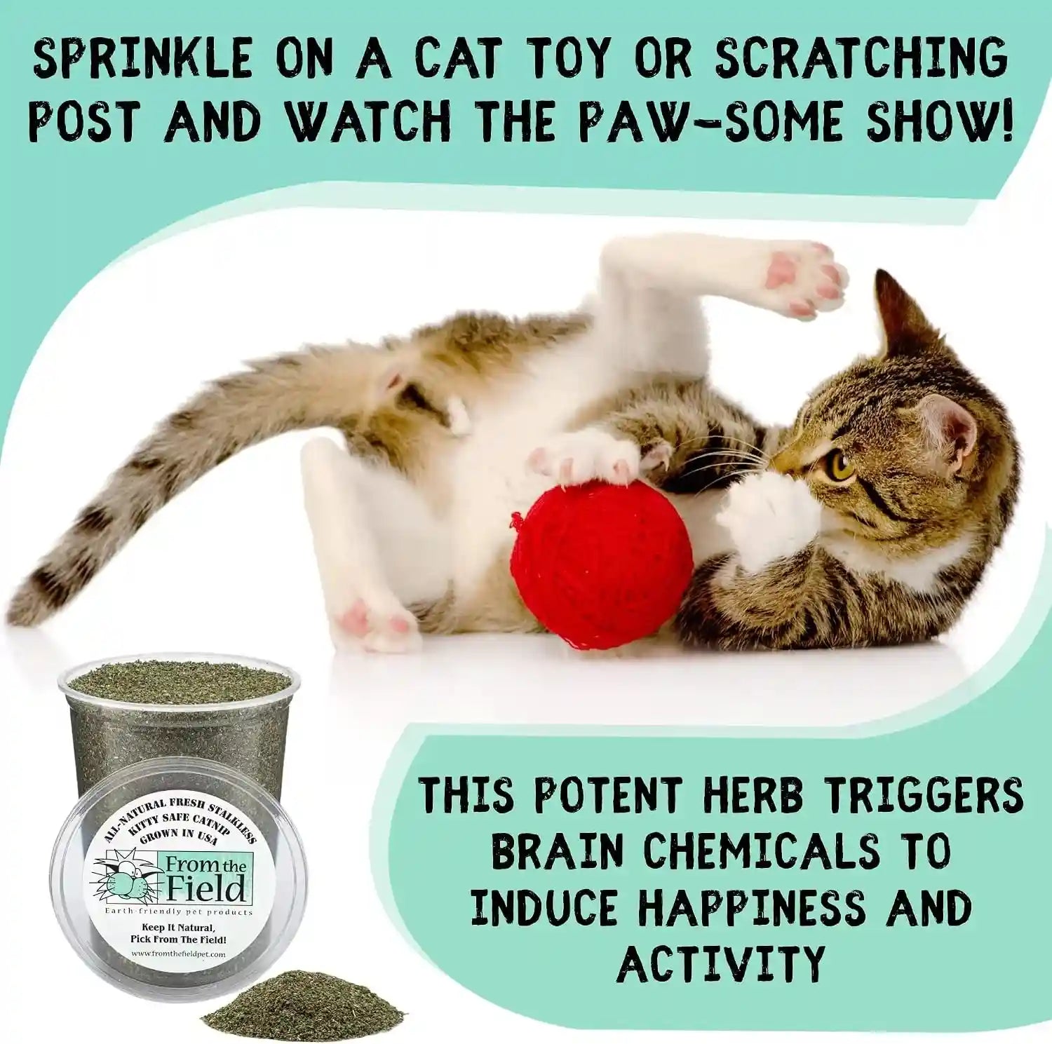 from-the-field-fine-ground-stalkless-catnip-premium-usa-grown-catnip-for-toys-playtime-fresh-potent-non-toxic-eco-friendly-safe-for-kittens-cats-resealable-6-oz-tub