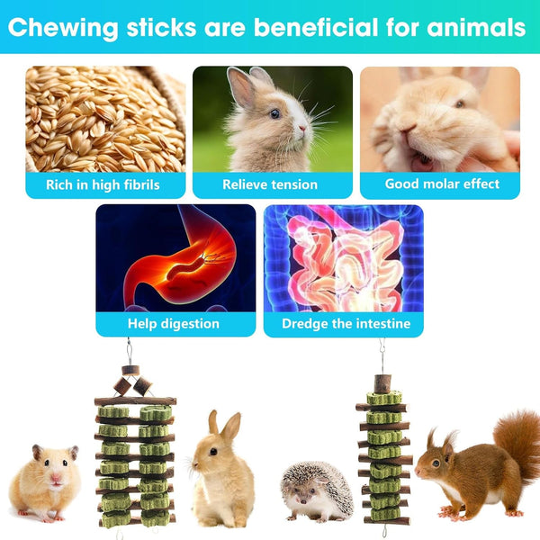 WDEFUN Natural Apple Wood Clover Cake Teeth Grinding Toy String - Rabbit Snack Chewing Toy, Safe and Durable Pet Teeth Grinding Rod, Caring for Dental Health3