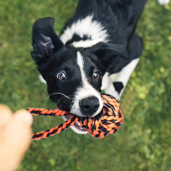 SHARLOVY Large Tough Chew Toys for Aggressive Chewers Large Breed,Heavy Duty Dental Rope Toys Kit for Medium Dogs,5 Knots Indestructible Cotton Puppy Teething Chew Tug Toy Set of 97