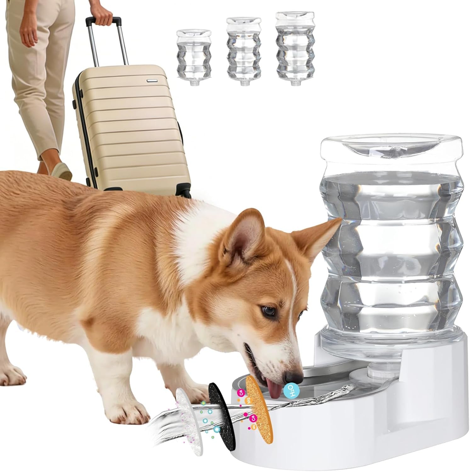 rizzari-8l-gravity-dog-water-dispenser-stainless-steel-bowl-anti-splash-wide-mouth-easy-cleaning-dishwasher-safe-no-electricity-needed-filtered-fresh-water-multi-pet-homes