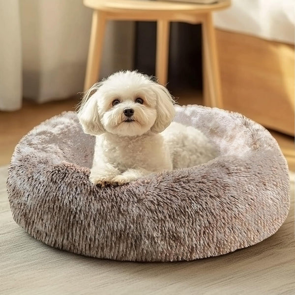 JOLLYVOGUE Small Dog Bed, Calming Soft Anti-Anxiety Donut Cat Bed, Washable round Fluffy Cushion for Small and Medium Pets (20")59