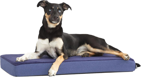 Barkbox Orthopedic Dog Bed - Large | with Memory Foam - Comfortable, Durable & Machine Washable Pet Bed - Grey16