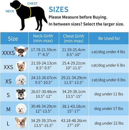 AIITLE Tiny Dog Harness - Lightweight Mesh Step-In Vest for Puppy, Reflective & Escape-Proof Design with High-Stick Magic Tape - Indoor/Outdoor Use for Chihuahua, Maltese, Shih Tzu(Brown-Beige, XXXS)9