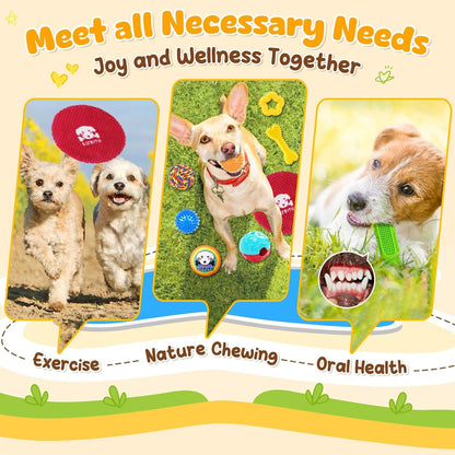 KIPRITII 25 Pack Various Dog Toys Set – Ideal for Teething, Entertainment & Interactive Play, Includes Puppy Toys, Rope Toys, Treat Balls and Squeaky Dog Toys5