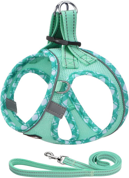 AMTOR Small Dog Harness with Leash Set, No Escape Easy Walk Puppy Harnesses for Training Walking, Step-In Reflective Soft Dogs Vest for XS S Medium Extra-Small Large Sized Dog(Green,S)25