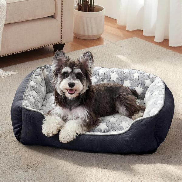 GASUR Small Dog Beds Small Size Dogs, Rectangle Washable Dog Bed, Orthopedic Dogs Sofa Bed, Pet Cuddler Anti-Slip Bottom, Soft Calming Sleeping Warming Puppy Bed (S (20"X 19"X 6"), Black)7