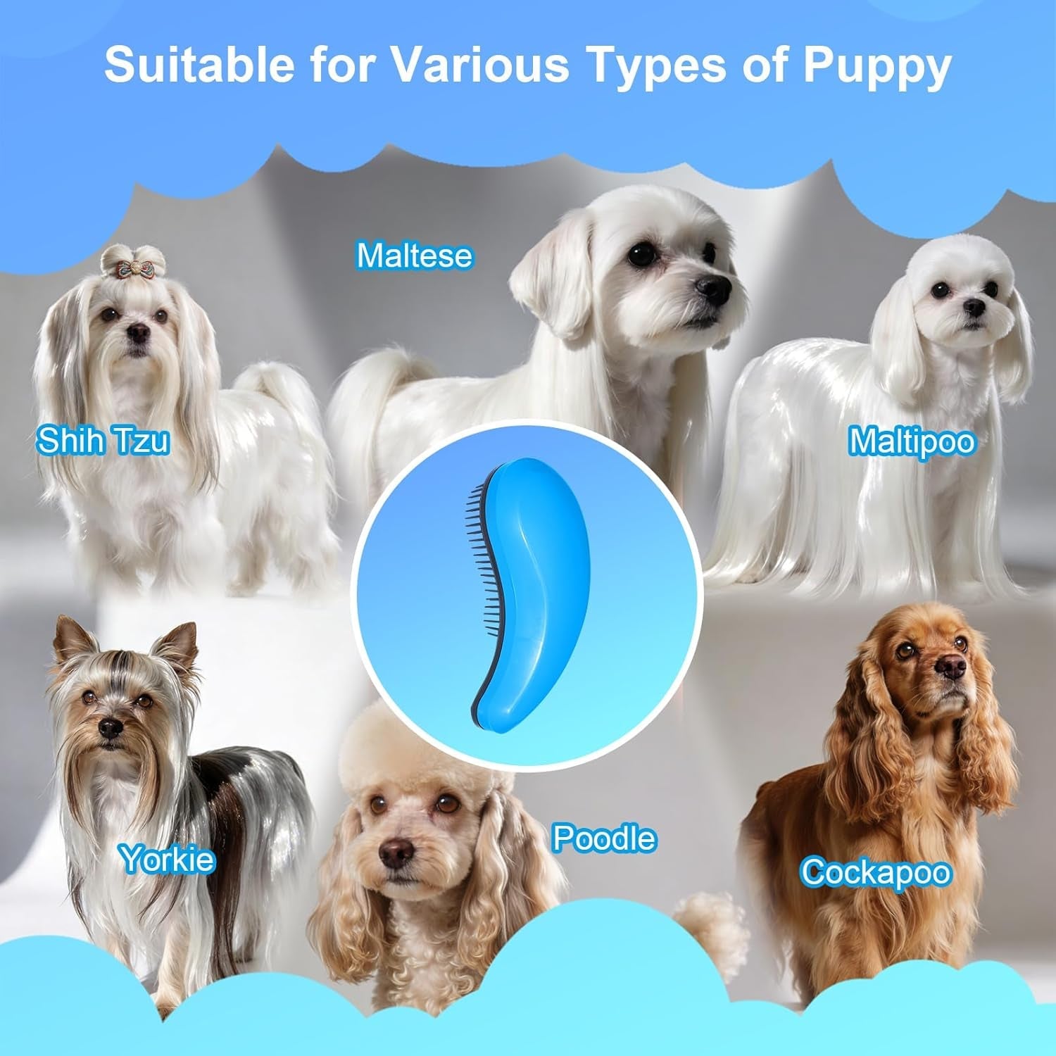 small-dog-brush-skin-friendly-soft-bristles-blue-puppy-hair-brush-massage-and-bath-supplies-pet-grooming-tool-for-teddy-yorkies-maltese-shih-tzu-chihuahua