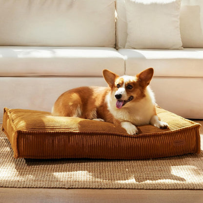 FUKUMARU 5.5-Inch Thick Dog Bed Mat, Washable Cat Bed with Waterproof Lining, Orthopedic Dog Beds for Senior Dogs, Cozy Flat Dog Kennel Bed for Crate, Non-Slip Pet Pillow Bed, Grey9