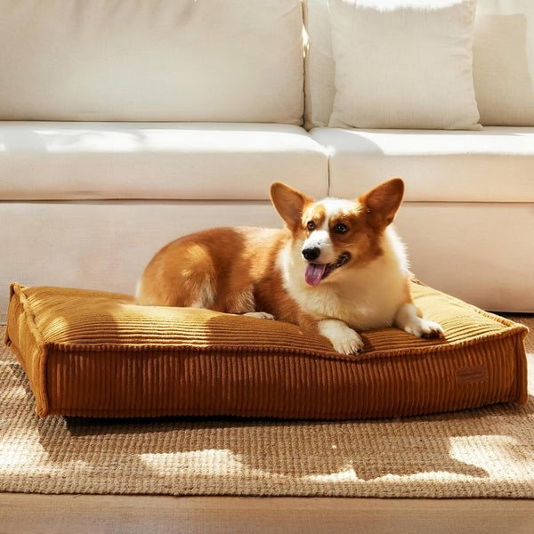FUKUMARU 5.5-Inch Thick Dog Bed Mat, Washable Cat Bed with Waterproof Lining, Orthopedic Dog Beds for Senior Dogs, Cozy Flat Dog Kennel Bed for Crate, Non-Slip Pet Pillow Bed, Grey9