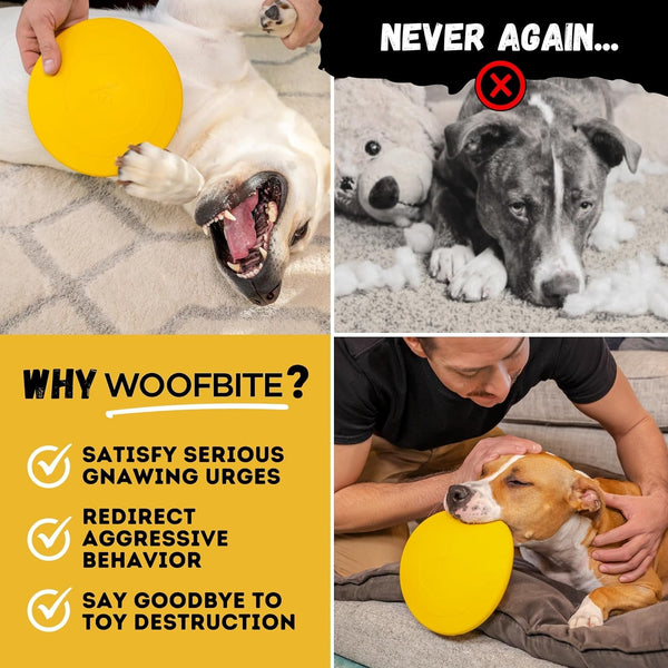 "Indestructible Dog Disc - Lifetime Replacement - Medium & Large Breed - Ultra Durable for Aggressive Chewers - Tough & Strong, Heavy Duty Natural Rubber Toy - Fetch, Tug, & Chew - 8In8