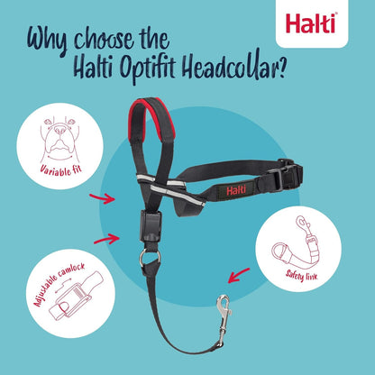 Halti Optifit Headcollar Size Medium & Halti Training Leash Size Large, Black Combination Pack - Stop Your Dog Pulling on the Leash. Adjustable with Padded Nose Band. Suitable for Medium Dogs3