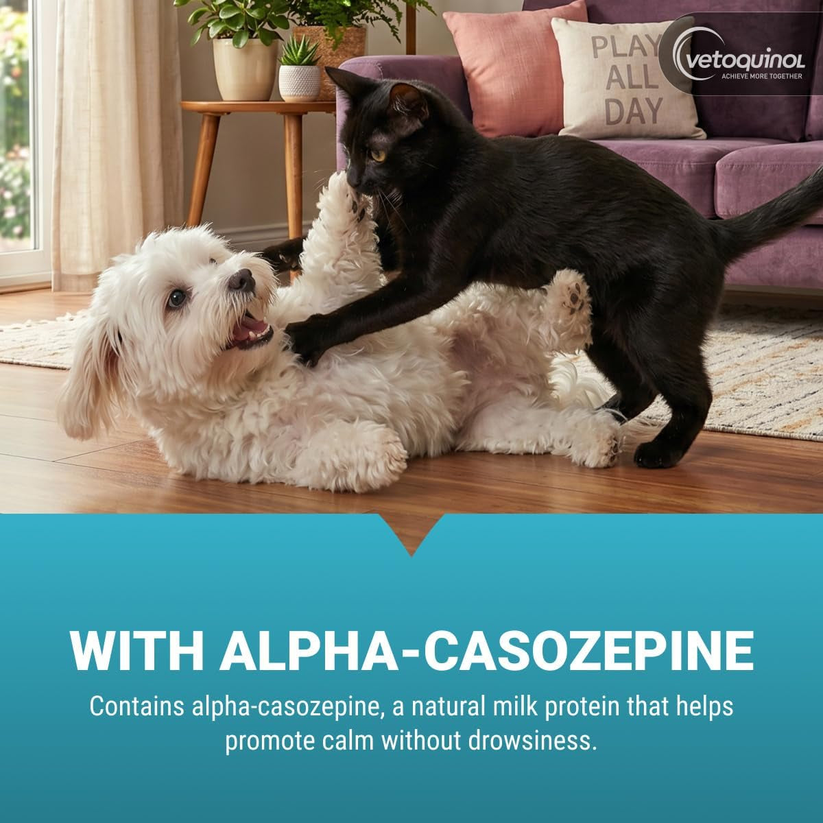 vetoquinol-zylkene-calming-oral-capsule-for-small-cats-dogs-11-22-lb-for-behavior-occasional-anxiety-perfect-for-boarding-vet-visits-celebrations-non-drowsy-lactose-free-30-capsules