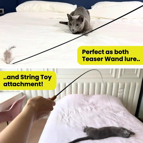 Cat Feather Toy Refill 3-Pack - Natural Feather Cat Toy - Small Size Cat Wand Attachments - Official Cat Toy Feather Replacement for Forever Stick Cat Wand Toy - Cat Wand Refill - Cat Lure and Teaser4