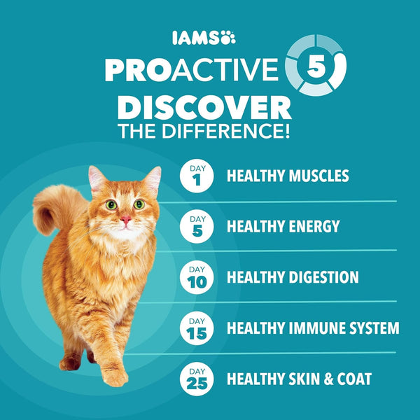IAMS Proactive Health Indoor Dry Cat Food, Chicken & Turkey, 22 Lb | Vet-Recommended, Real Chicken #1 Ingredient, Proprietary Fiber Blend, Prebiotics for Healthy Digestion, Hairball Control4
