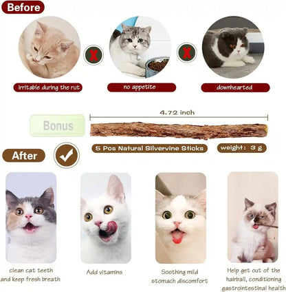 Natural Wood Cat Wand Toy with Ribbon Fish Teaser - 3Pcs, 16 Inch, Indoor Cat Exerciser & Playing Kitten Toy, Bonus 5Pcs Catnip Sticks for Teeth Cleaning3