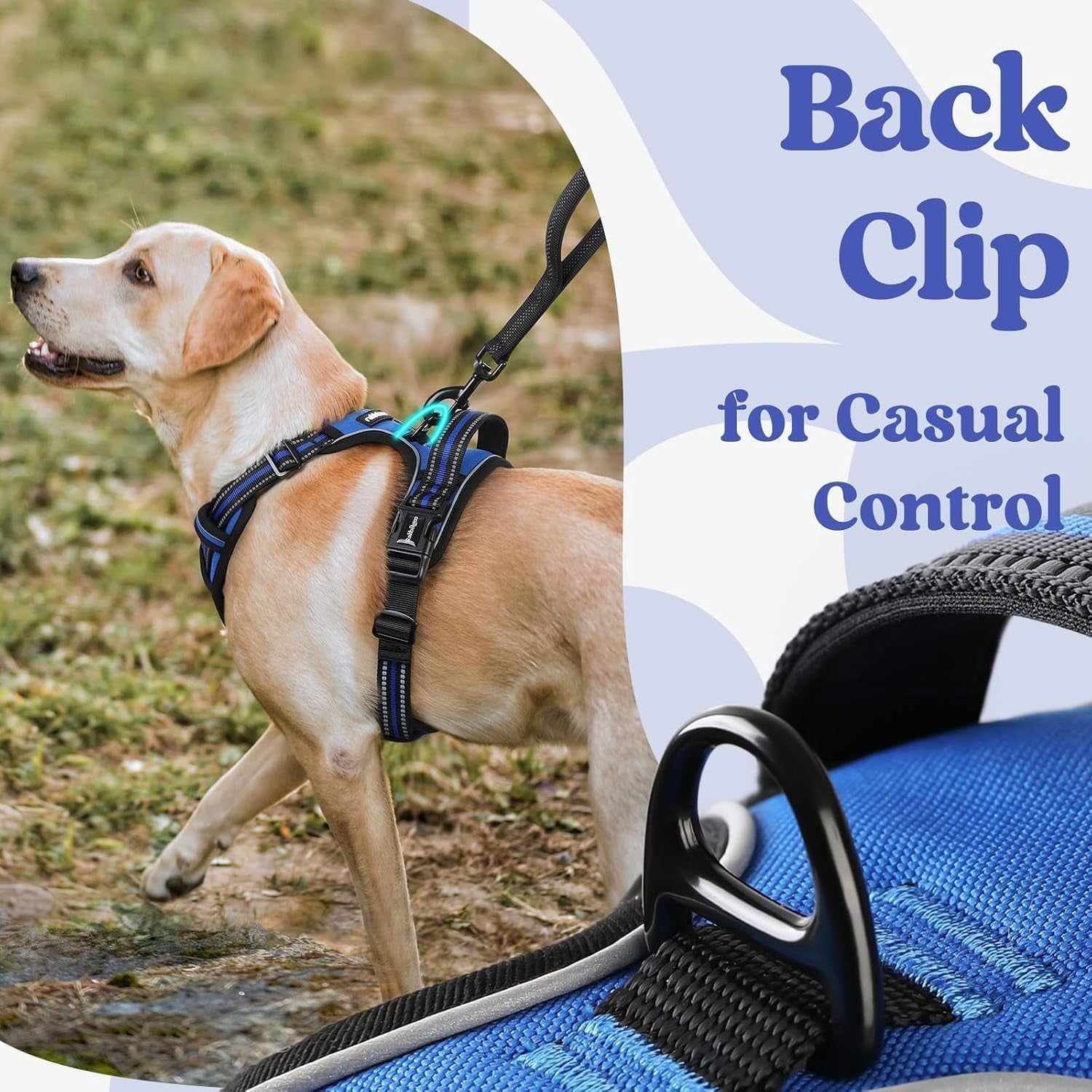 rabbitgoo-dog-harness-medium-sized-updated-easy-on-off-with-3-buckles-no-pull-no-choke-walking-with-2-clips-and-handle-adjustable-soft-reflective-blue-medium