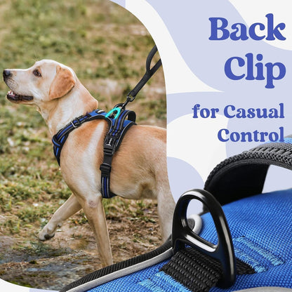 Rabbitgoo Dog Harness Medium Sized, Updated Easy on & off with 3 Buckles | No Pull No Choke, Walking with 2 Clips and Handle, Adjustable Soft Reflective, Blue, Medium6