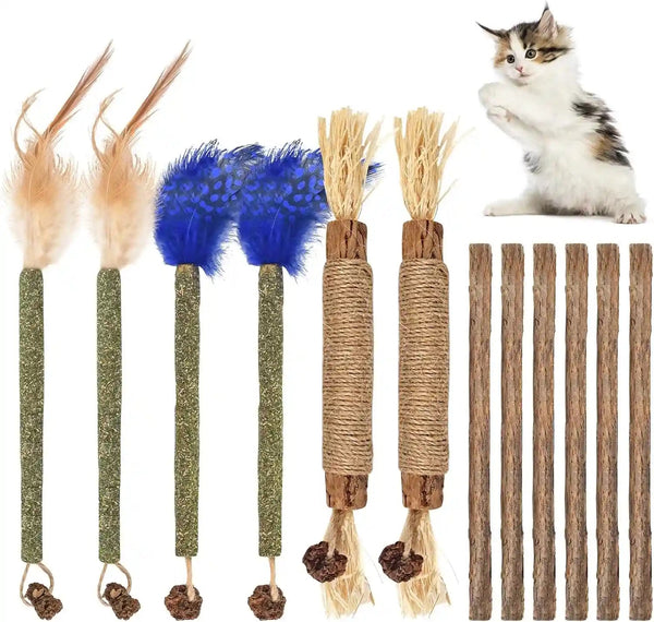 Bissap 10 PCS Silvervine Chew Sticks for Cats, Catnip Chew Sticks Cat Toys for Indoor Cat Kitten Teeth Grinding Interactive Feather Toys for Aggressive Chewers Dental Care7